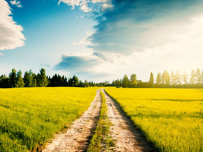 Exploitation agricole avec Agriland 