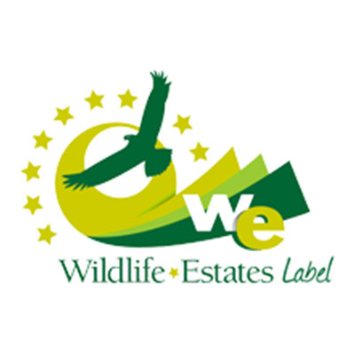 Logo client 01