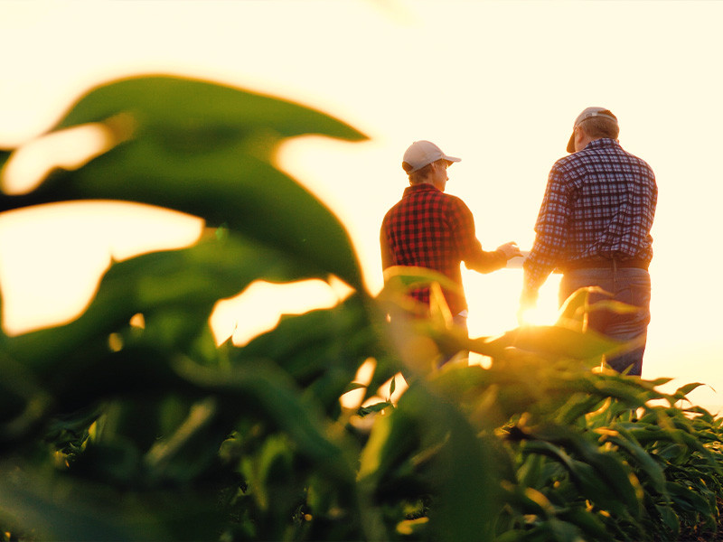 Missie, visie en waarden van Agriland, expert in landbouwbeheer