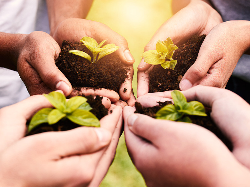 Ontdek het team van experts bij Agriland voor landbouwbeheer