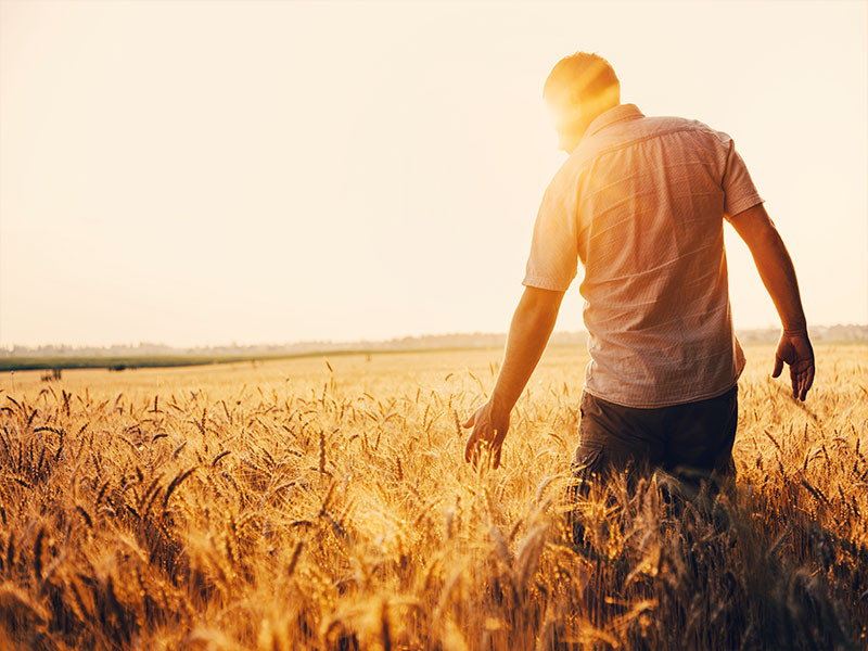 Ondersteuning voor agrarisch beheer in België en Frankrijk