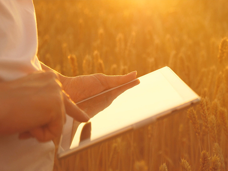 Planification et optimisation de gestion agricole 