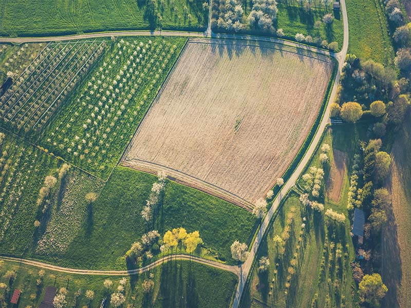 Pratiques agricoles développées par Agriland en Belgique et en France