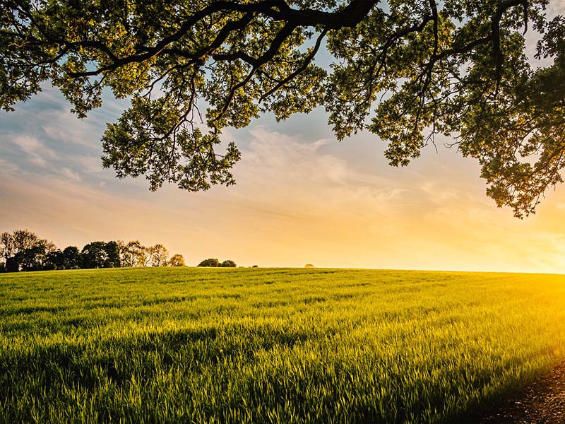 Concilier production agricole et pratiques durables