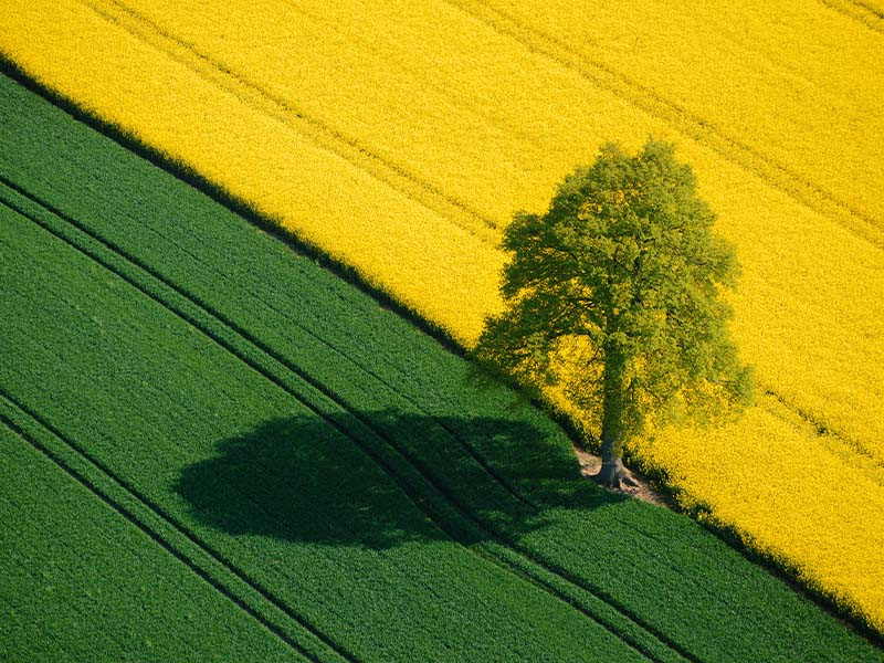 Rôle d’Agriland dans l’innovation agricole en France et en Belgique